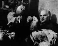 Куры пород брама и кохинхин