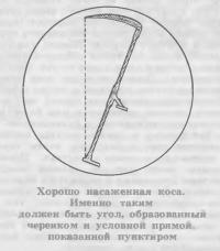 Хорошо насаженная коса