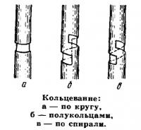 Кольцевание