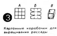Рис. 3. Картонные коробочки для выращивания рассады