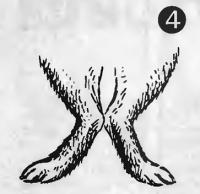 Рис. 4. Кролики с искривленными ногами