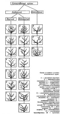 С чего начинать закладку нового сада