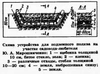 Внекорневая подкормка деревьев