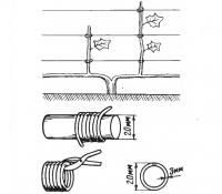Подвязка винограда кольцами
