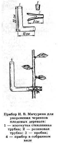 Прибор И. В. Мичурина для укоренения черенков плодовых деревьев