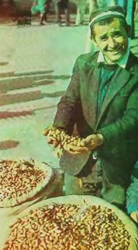 Выращивание земляного ореха (арахиса)