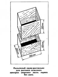 Разъемный ящик-растильня для выгонки салатного цикория