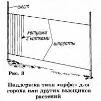 Рис. 3. Поддержка типа «арфа» для гороха или других вьющихся растений