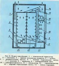 Рис. 6. Разрез инкубатора