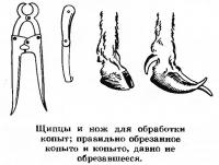 Время подводить итоги хозяйственного года