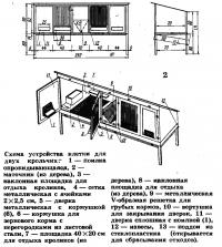 Схема устройства клетки для двух крольчих