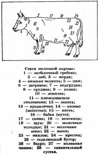 Обеспеченность кормами на зиму